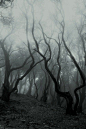 (44) Pinterest