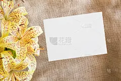 贺卡,空白的,文字,空的,白色,黄色,百合花,留白,生日,亲昵