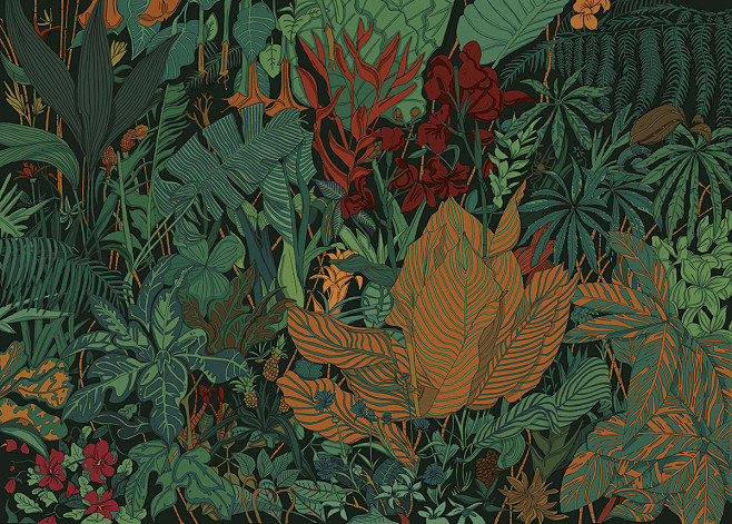jungle colours plant...