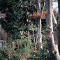 jilsander_97534555_625998184929351_846012812037131061_n