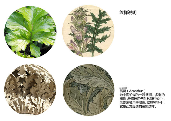 点击查看源网页