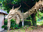 日本网友shiromadara偶然在一个民家前看到了由木头和稻草制作而成的龙，宛如一件精美的艺术品！ ​​​​