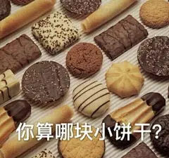 #原图精选# 
今日份热门表情包原图精选~
今天一天都没信号 ​​​​