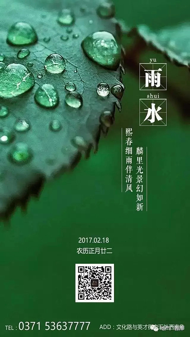 作品】二十四节气——雨水地产广告集