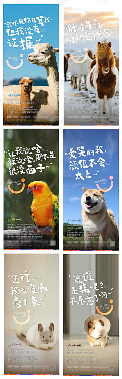 丶130采集到动物