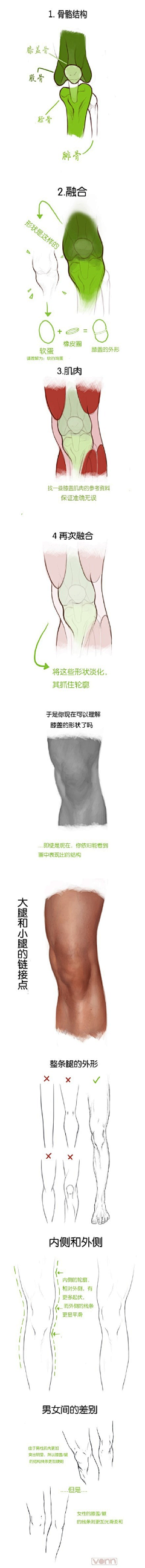 繁星灬落幕采集到人体教程