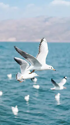 #摄影（风景-山水-建筑）#