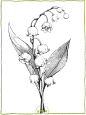 铃兰——愿你幸福