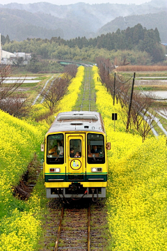 vikeras采集到旅行