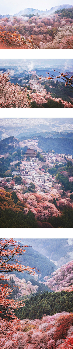 水水水の宝采集到旅游