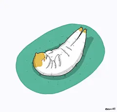 猫咪迷惑行为大赏！这40个猫咪的爆笑瞬间，每一张都是表情包哈哈哈哈 (29)