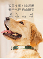 狗狗项圈大型金毛拉布拉多犬刻字挂牌脖圈装饰宠物防丢失牵引项链-tmall.com天猫