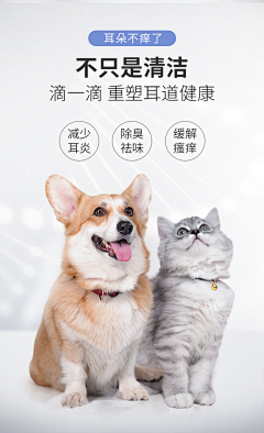 噌槿嘚妮蕞美采集到C-宠物主图