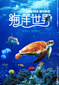 海洋馆