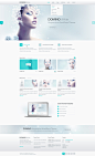 Domino White Responsive WordPress Theme : Domino White WordPress Theme 