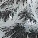 Andreas Nicolas Fischer - KARST II c-print