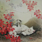 邢诚爱工笔《猫》作品欣赏
