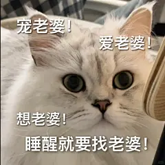 小猫咪表情包之哄老婆篇～ - 小红书