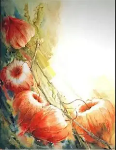 水彩---花卉 - 高清图片，堆糖，美图壁纸兴趣社区
