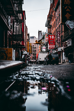 花椰菜_呱采集到景