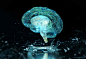 brain hologram_3d : Human brain hologram 3d