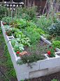 raised garden bed with concrete blocks-lasts longer than wood. I'd love to do this and paint or stain the blocks some viberent colors.: 