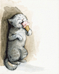 采至Lynn的花瓣画板 插画们。不能分解糖份的猫。#动物水彩01#
