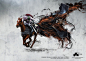 Irish Thoroughbred Marketing: Thoroughbred, 2