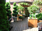 屋顶花园(Rooftop Gardening)欣赏(8)