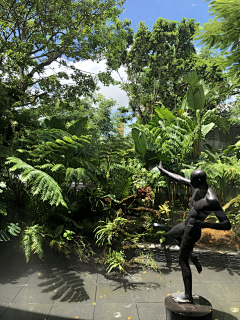 畅想菲采集到植物专项-热带地被搭配