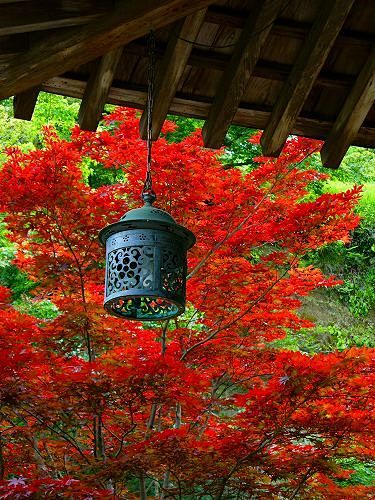 海蔵寺：本堂の吊灯籠 Japan