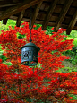 海蔵寺：本堂の吊灯籠 Japan