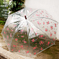 环保透明伞-碎花