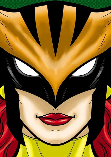 鹰女（Hawkgirl）——出自《超人正...