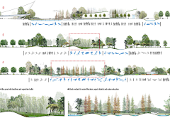 KATEVIN采集到P剖立面SECTION&ELEVATION