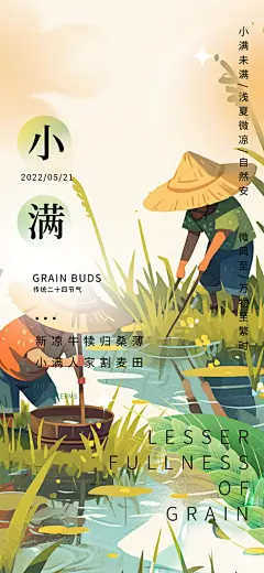 二十四节气小满宣传海报
