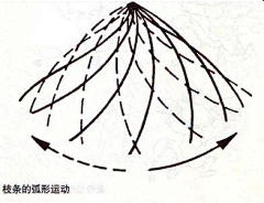 甲甲菌采集到运动规律