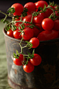 Yes, tomato berries.  And did you know that tomatoes are fruit...  :-): 