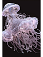 AI粉红水母酱JellyFish