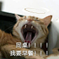 有爸有妈有师父有老婆……
怎么能……没有……同桌呢！！！ ​​​​