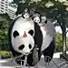 采集图片