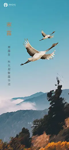 海报 房地产 寒露 二十四节气 白鹭