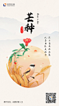 安信证券19年二十四节气之芒种