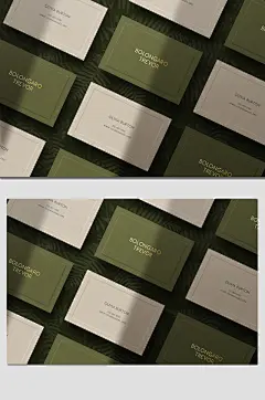 抹茶名片样机展示