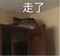 表情包