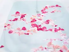 温馨浪漫家居插花艺术壁纸 温馨浪漫家居插花艺术壁纸 温馨浪漫家居插花艺术图片 温馨浪漫家居插花艺术素材 其他壁纸 其他图库 其他图片素材桌面壁纸