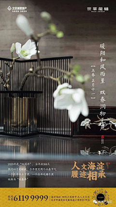 房地产海报采集到【立春】地产海报