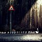 Bird crossing. by PascalCampion