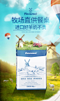 风车牧场荷兰进口纯羊奶粉小蓝盒成人高钙中老年人无蔗糖羊奶粉-tmall.com天猫