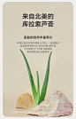 雏菊的天空库拉索芦荟胶补水保湿晒后修护舒缓芦荟原汁瓶装-tmall.com天猫